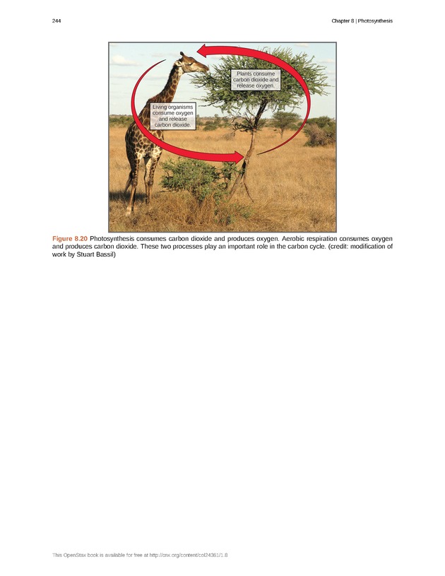Biology - Front Matter 255