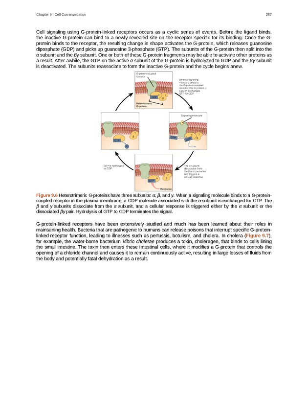 Biology - Front Matter 268