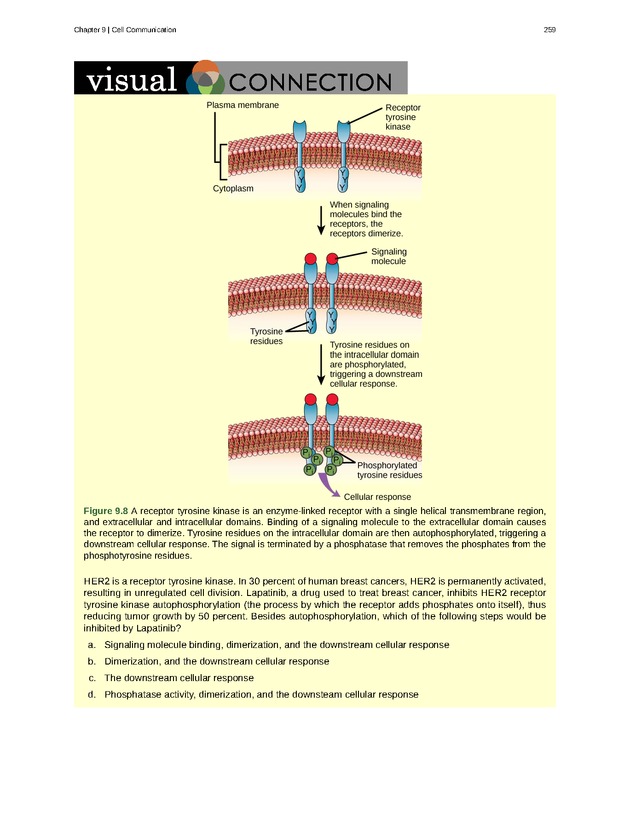 Biology - Front Matter 270