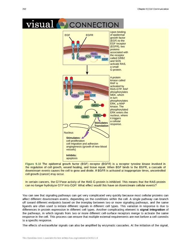 Biology - Front Matter 273