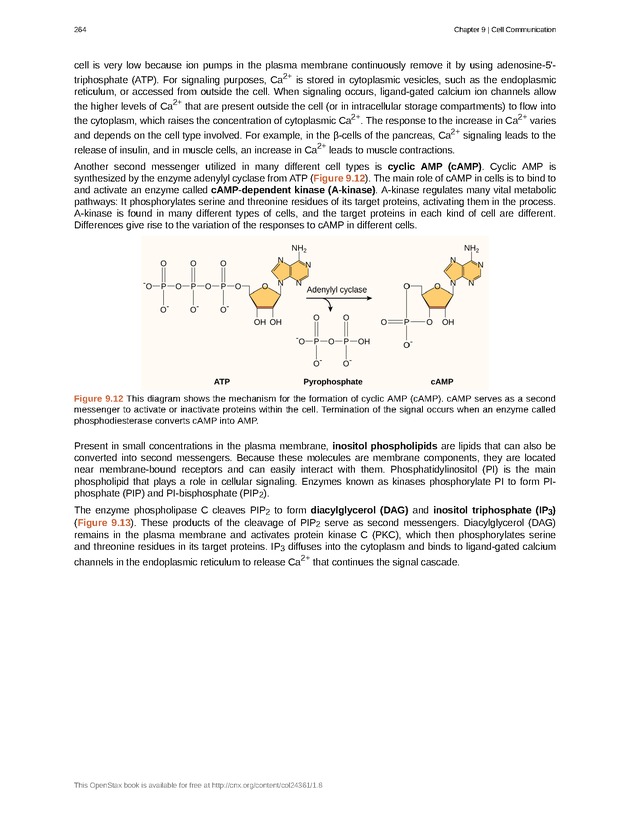 Biology - Front Matter 275