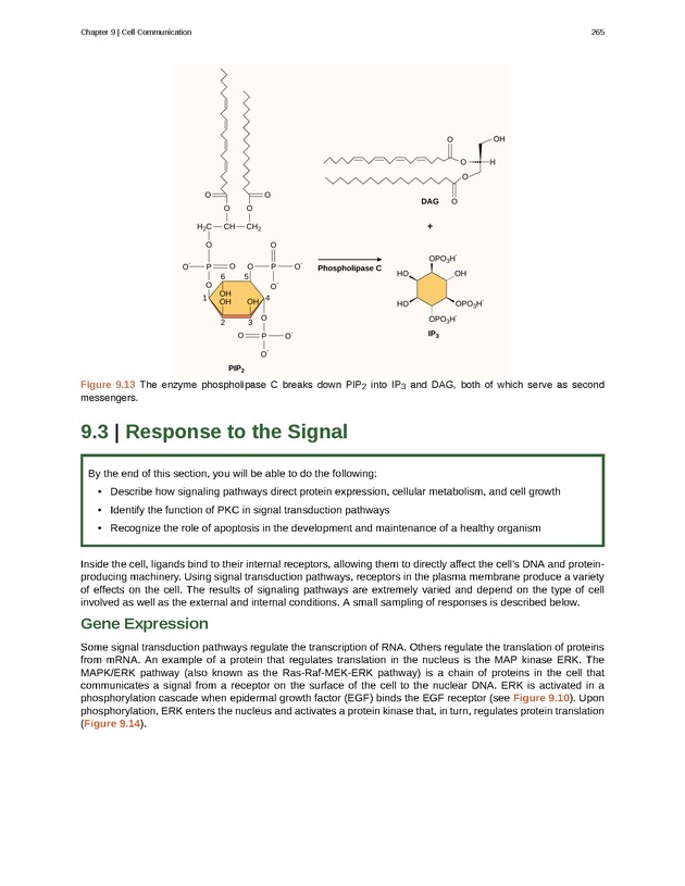 Biology - Front Matter 276