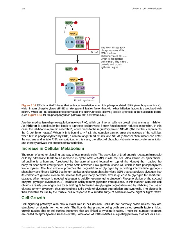 Biology - Front Matter 277