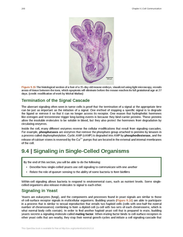 Biology - Front Matter 279