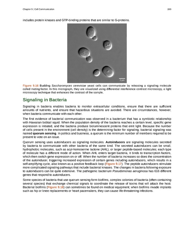 Biology - Front Matter 280