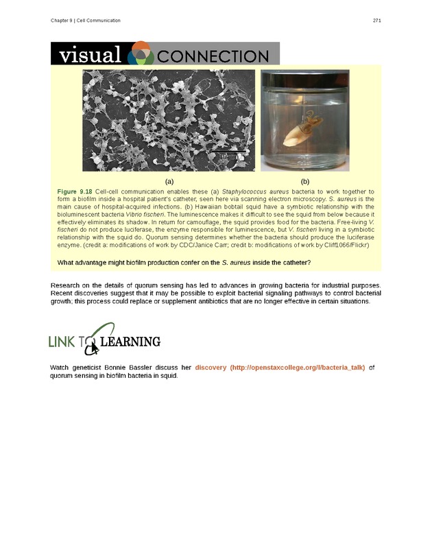 Biology - Front Matter 282
