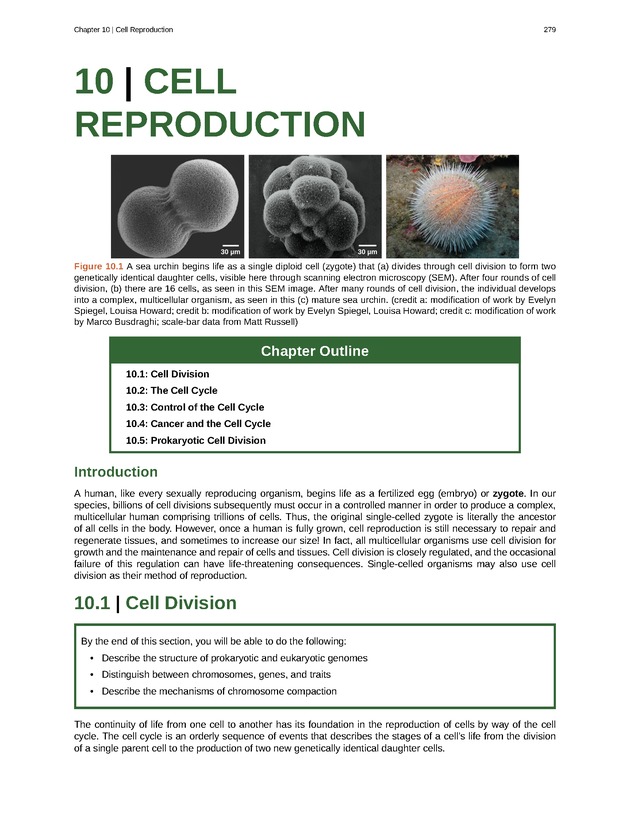 Biology - Front Matter 290
