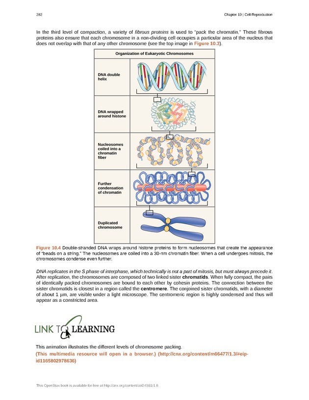 Biology - Front Matter 293