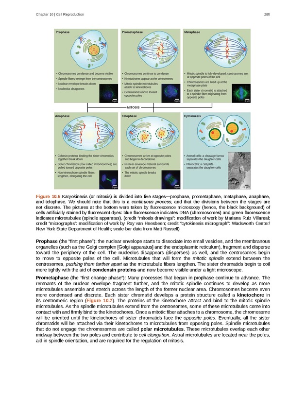 Biology - Front Matter 296