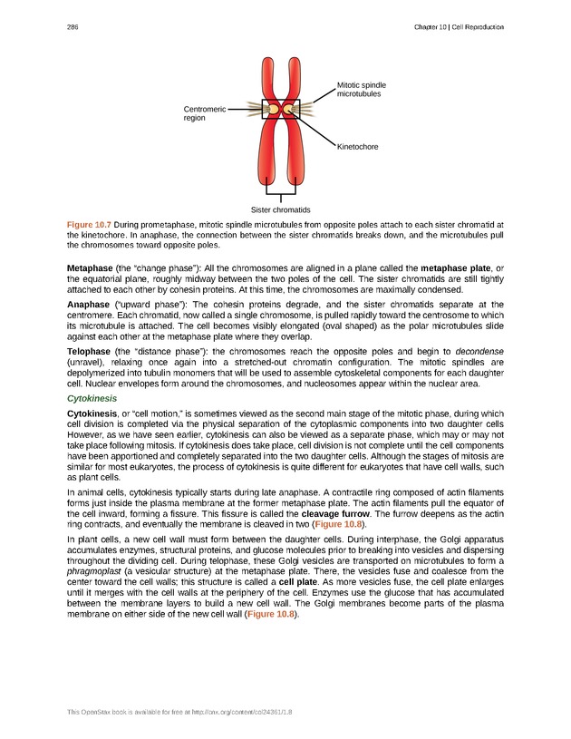 Biology - Front Matter 297