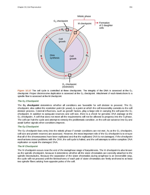 Biology - Front Matter 302