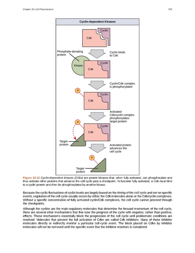 Biology - Front Matter 304