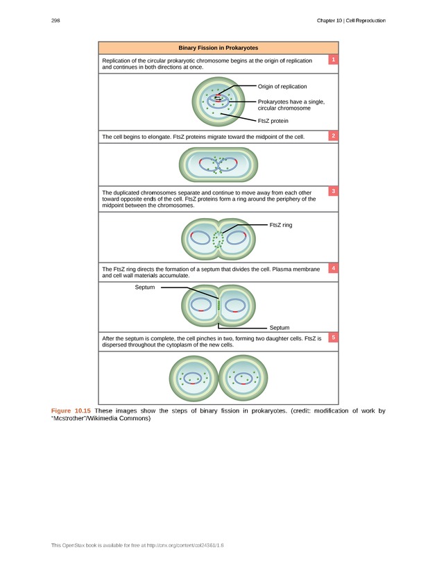 Biology - Front Matter 309