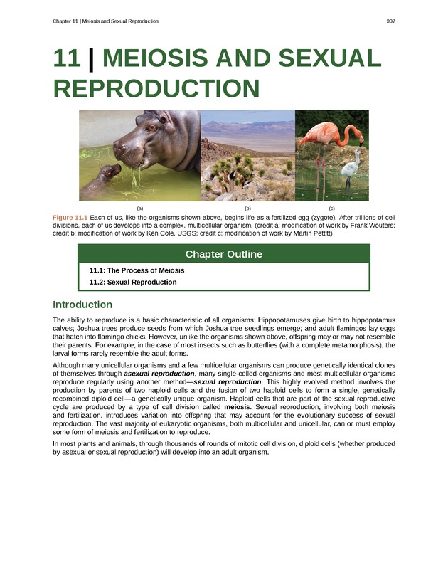 Biology - Front Matter 318