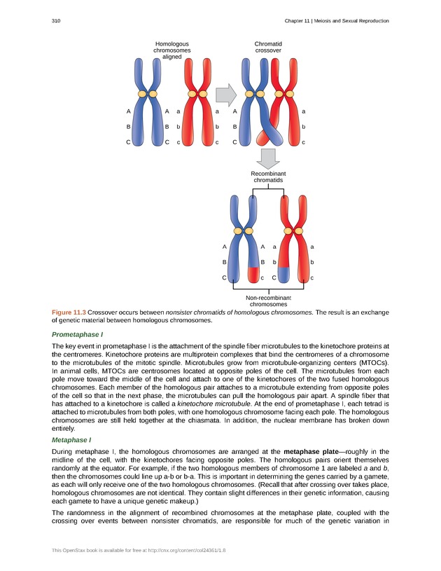 Biology - Front Matter 321