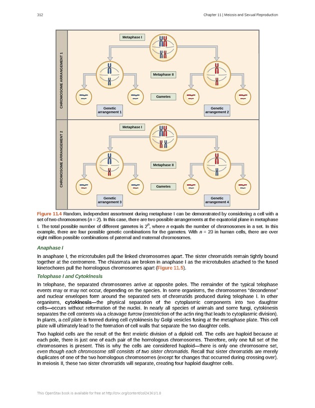 Biology - Front Matter 323