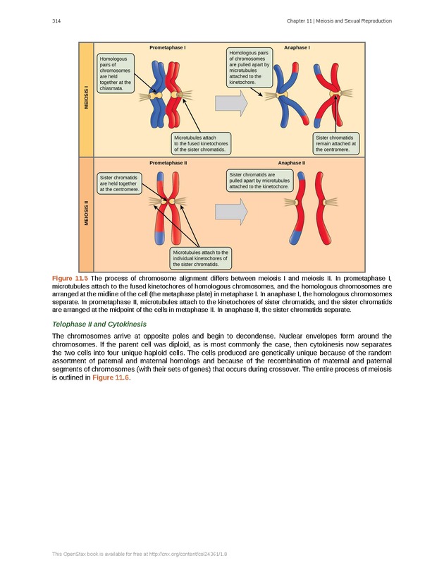 Biology - Front Matter 325