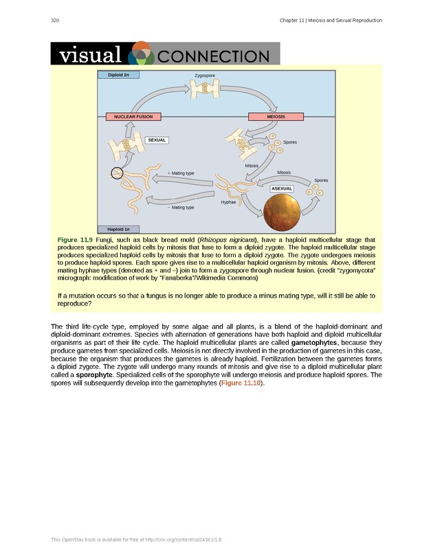 Biology - Front Matter 331