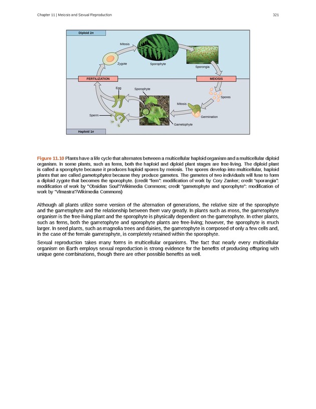 Biology - Front Matter 332
