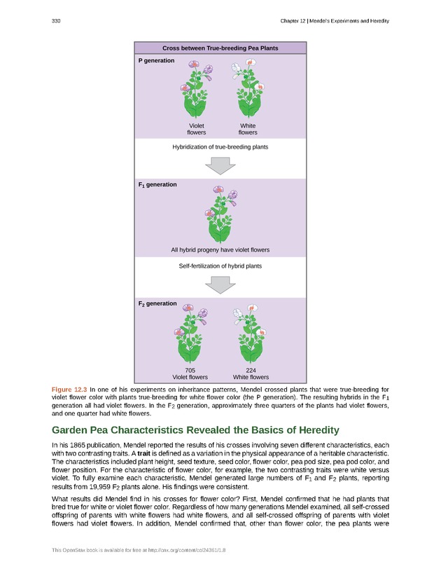Biology - Front Matter 341