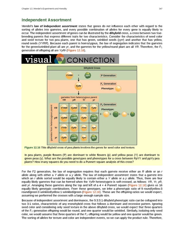 Biology - Front Matter 358