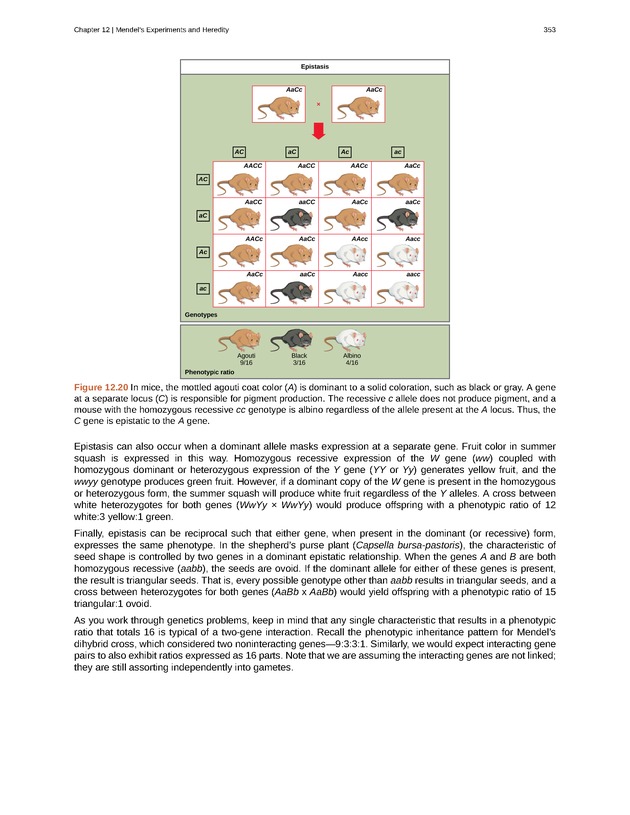 Biology - Front Matter 364