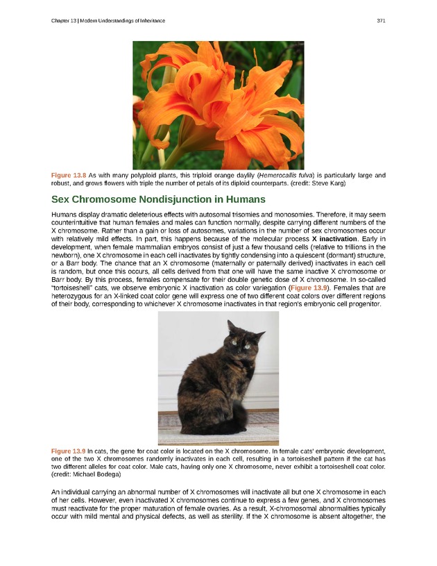Biology - Front Matter 382