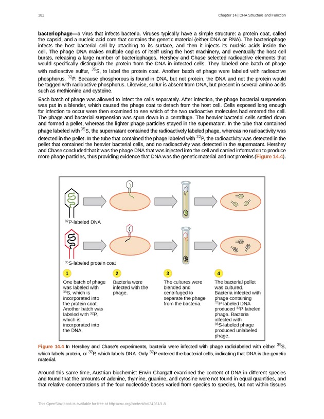 Biology - Front Matter 393