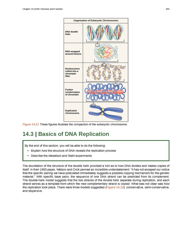 Biology - Front Matter 400