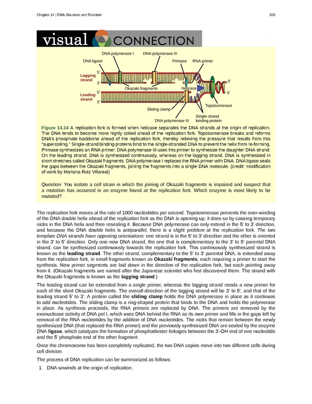 Biology - Front Matter 404
