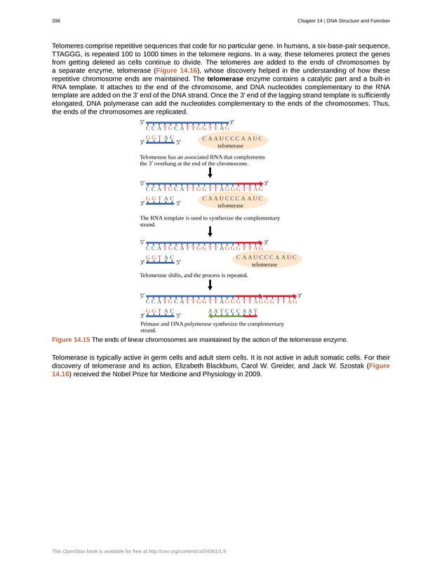 Biology - Front Matter 407
