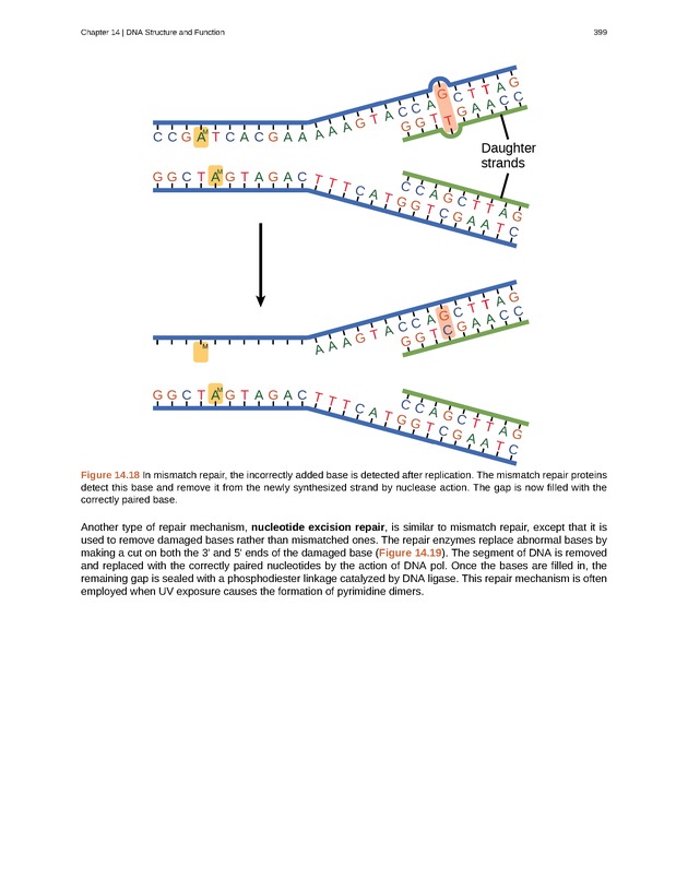 Biology - Front Matter 410
