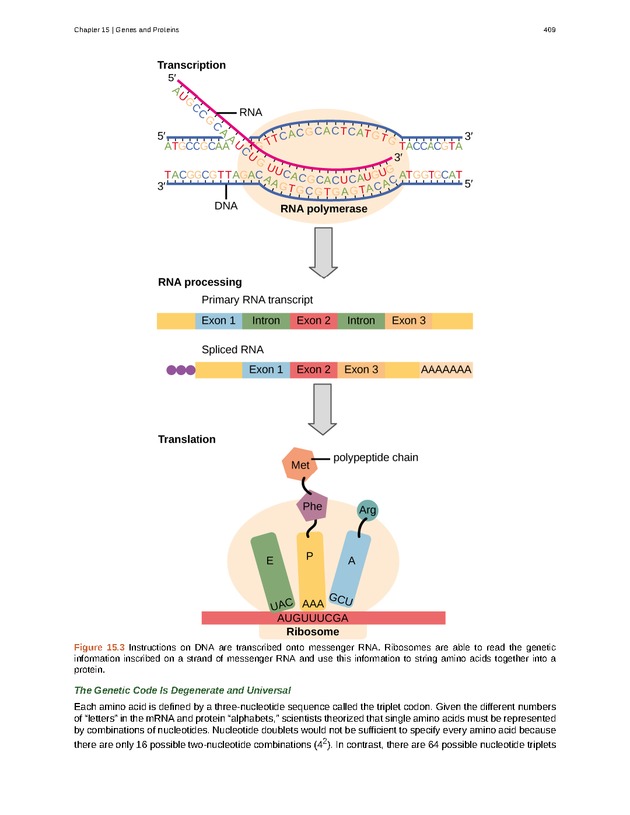 Biology - Front Matter 420