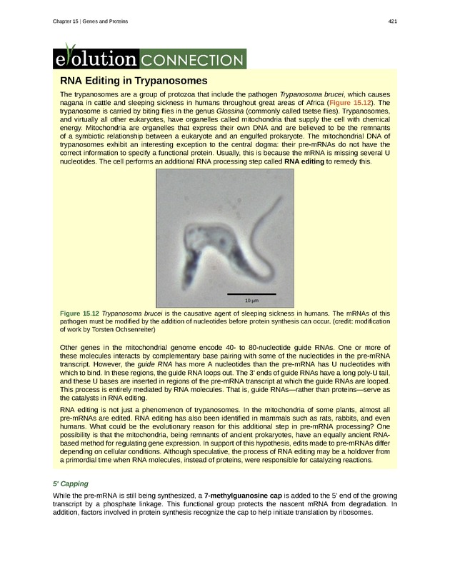 Biology - Front Matter 432