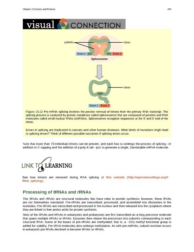 Biology - Front Matter 434