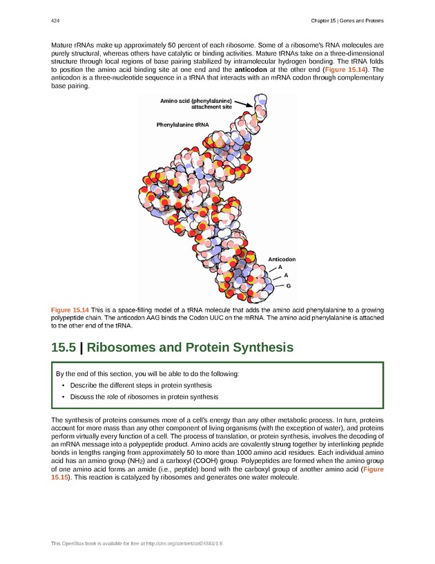 Biology - Front Matter 435