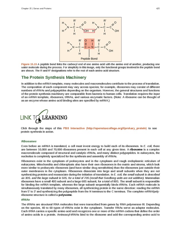 Biology - Front Matter 436