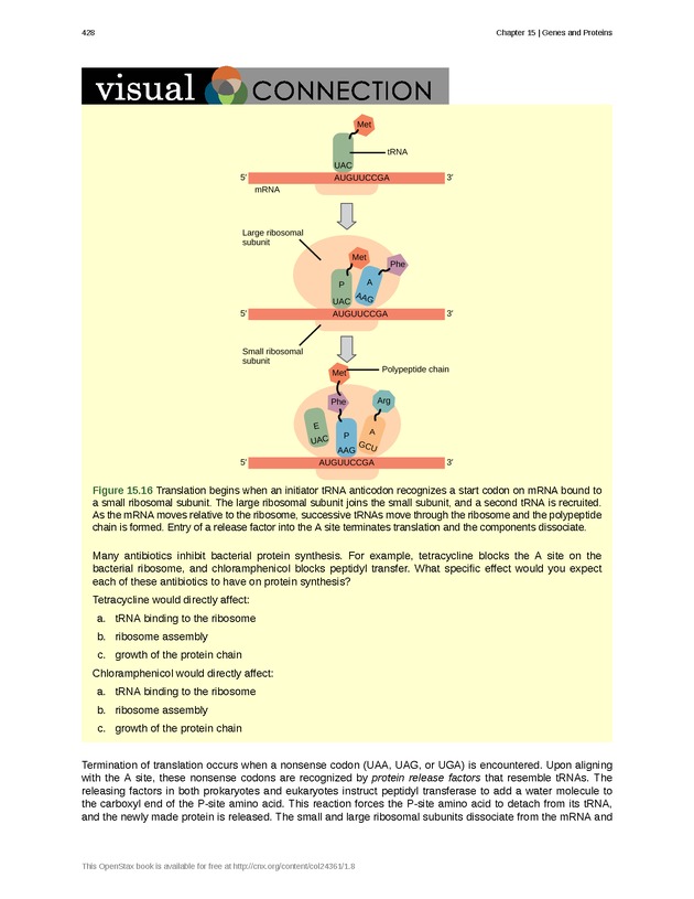 Biology - Front Matter 439