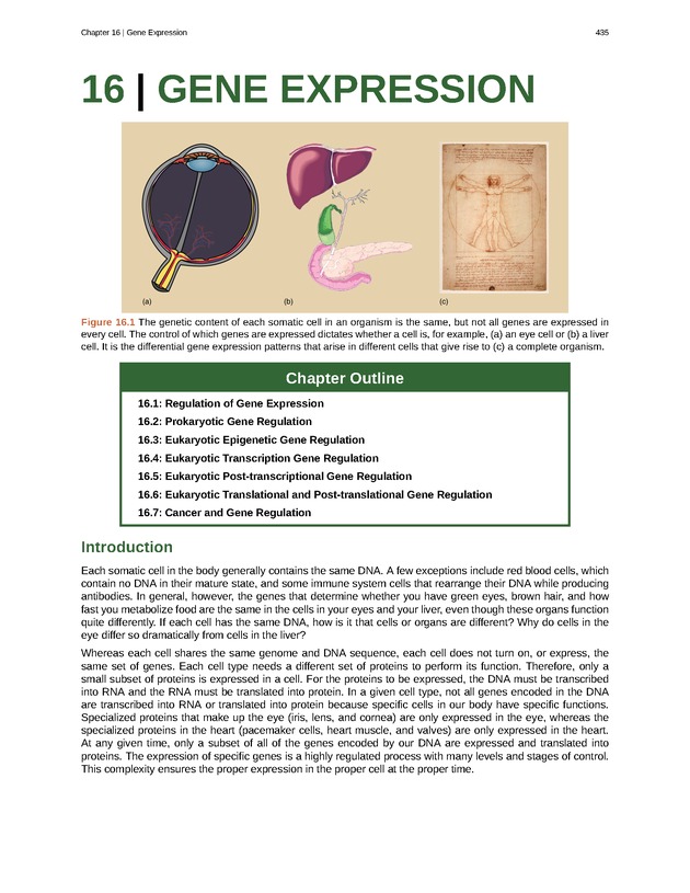 Biology - Front Matter 446