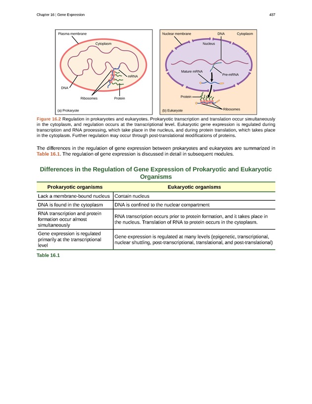 Biology - Front Matter 448