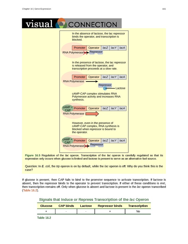 Biology - Front Matter 452