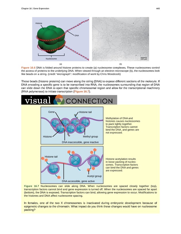 Biology - Front Matter 454