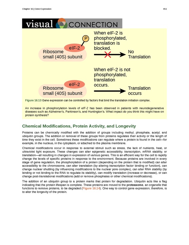 Biology - Front Matter 462