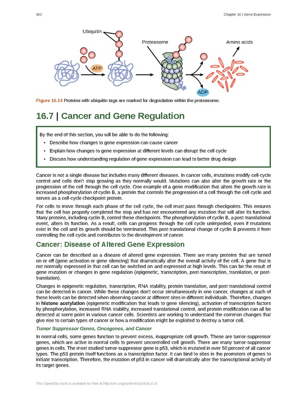 Biology - Front Matter 463