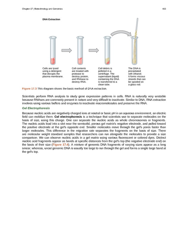 Biology - Front Matter 474