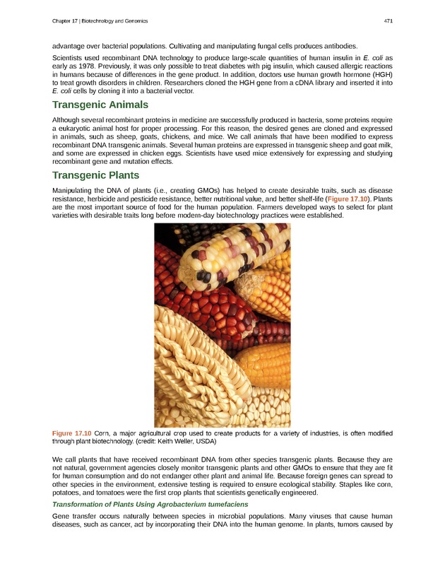Biology - Front Matter 482
