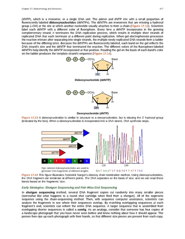 Biology - Front Matter 488
