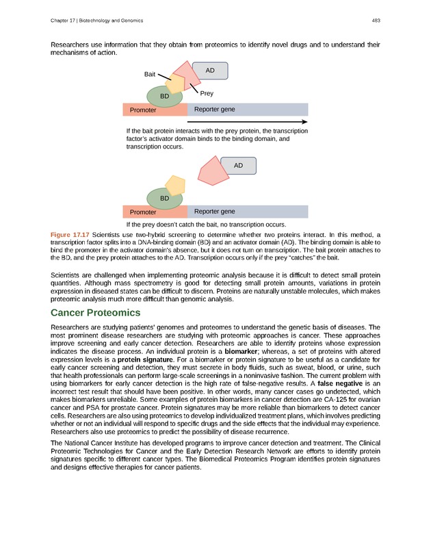 Biology - Front Matter 494