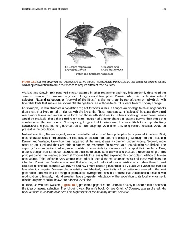 Biology - Front Matter 504