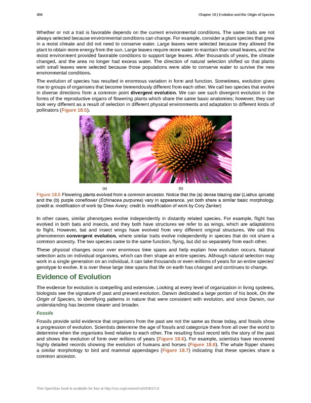 Biology - Front Matter 507